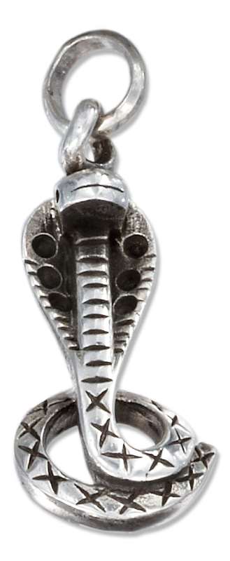 Cobra Snake Charm