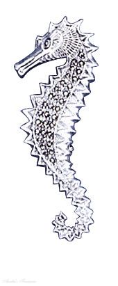 Marcasite Seahorse Brooch Pin