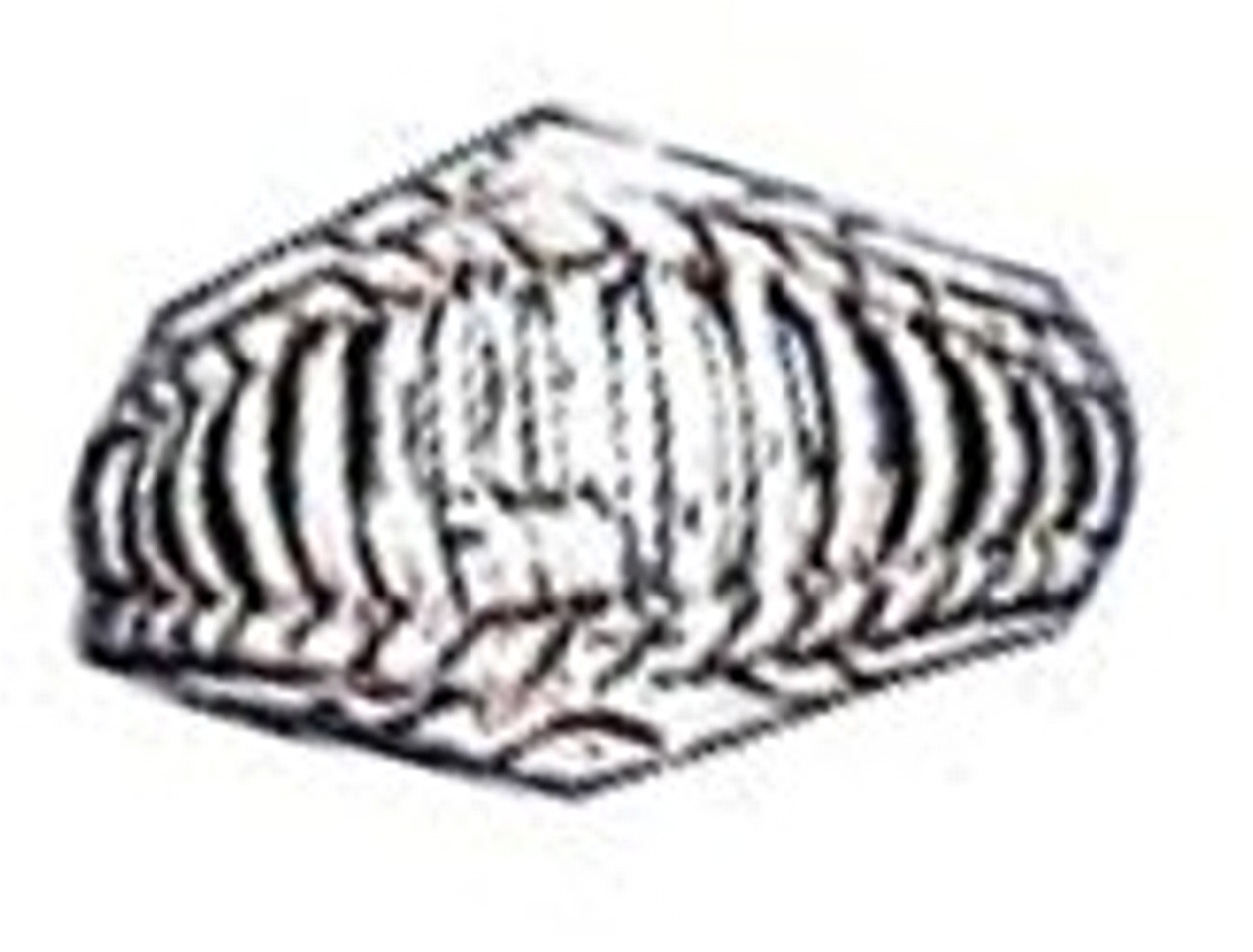 Open Grill Toe Ring - Click Image to Close