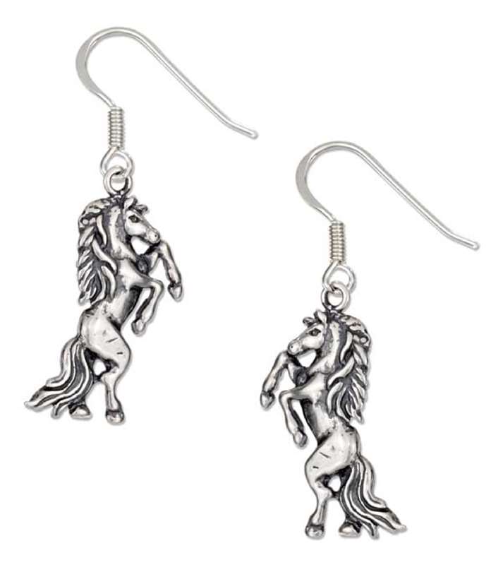 Pony Earrings Pony Earrings