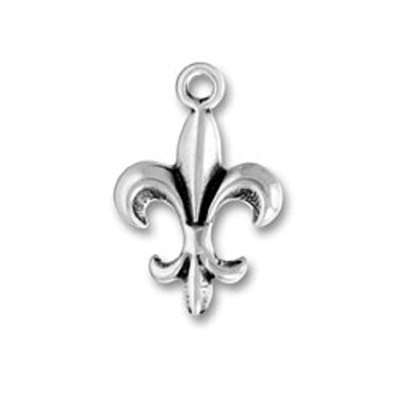 Fleur De Lis French Heritage Charm