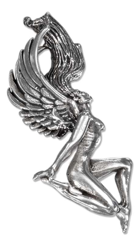 Fairy Charm - Click Image to Close