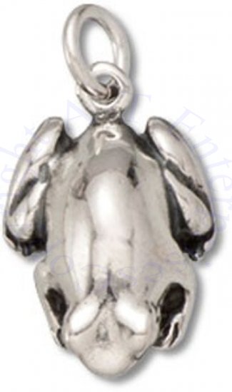 3D Sitting Toad Frog Charm - Click Image to Close
