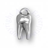 3D Molar Wisdom Tooth Charm
