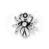 3D Spider Or Tick Charm
