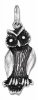 Hoot Owl Charm