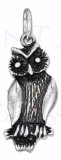Hoot Owl Charm