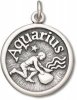 Aquarius Water Bearer Friendly Zodiac Horoscope Symbol Charm