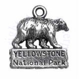 Bear Yellowstone National Park Charm