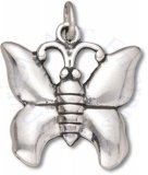 3D Large Simple Butterfly Charm