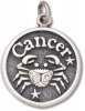 Cancer Crab Imaginative Zodiac Horoscope Symbol Charm