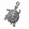 3D Detailed Walking Hard Shell Box Turtle Charm