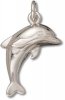 Jumping Dolphin Charm