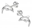 Dolphin Post Earrings