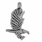 Flying Eagle With Claws Extended 3D Charm