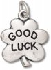 3D Irish Four Leaf Clover Good Luck Symbol Charm
