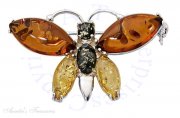 Multi Color Amber Butterfly Brooch