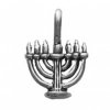3D Jewish Candles Menorah Hanukkah Festival Of Lights Charm