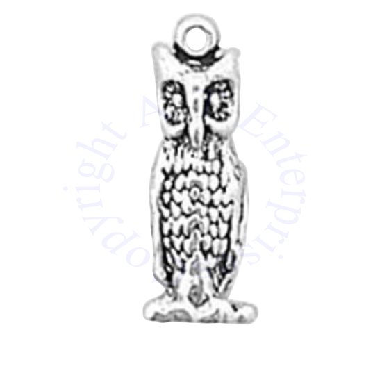 Large Owl Facing Forward 3D Charm - Click Image to Close