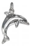 Hollow Back Partially 3D Dolphin Charm