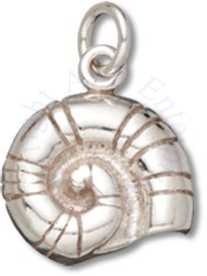 Moon Snail Nautilus Beach Seashell Charm - Click Image to Close