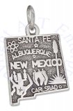 NEW MEXICO State Charm