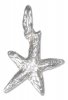 3D Small Sea Star Starfish Charm
