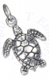 3D Small Ocean Sea Turtle Charm