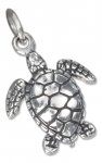 3D Small Ocean Sea Turtle Charm
