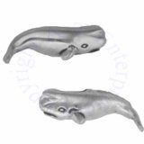 Sperm Whale Post Earrings