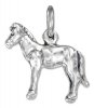 Standing Pony Colt Horse Charm