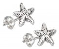 Small Starfish Sea Star Post Earrings