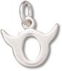Small Taurus Zodiac Horoscope Symbol Charm