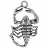 Two Sided Insect Poisonous Scorpion Charm