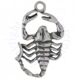 Two Sided Insect Poisonous Scorpion Charm