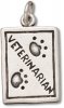 Two Sided Veterinarian Occupational Badge Charm With Paw Prints