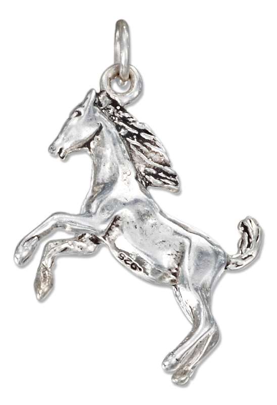 Horse Charm Horse Charm